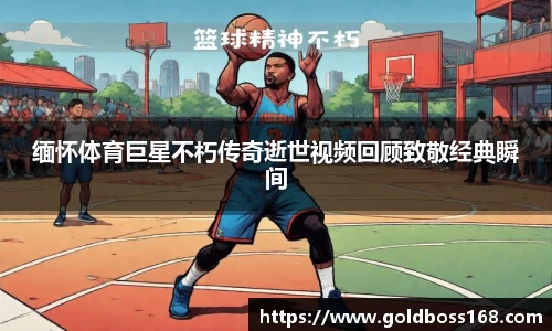 3377体育官网