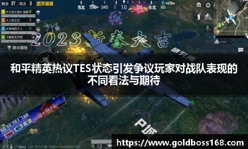 和平精英热议TES状态引发争议玩家对战队表现的不同看法与期待
