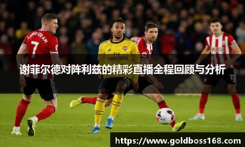 谢菲尔德对阵利兹的精彩直播全程回顾与分析