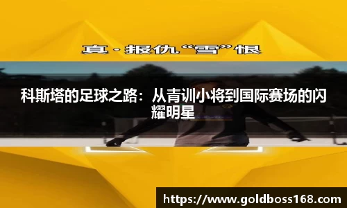 3377体育官网