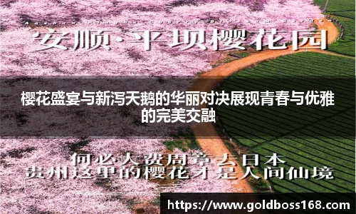 樱花盛宴与新泻天鹅的华丽对决展现青春与优雅的完美交融