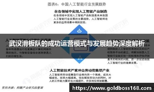 武汉滑板队的成功运营模式与发展趋势深度解析