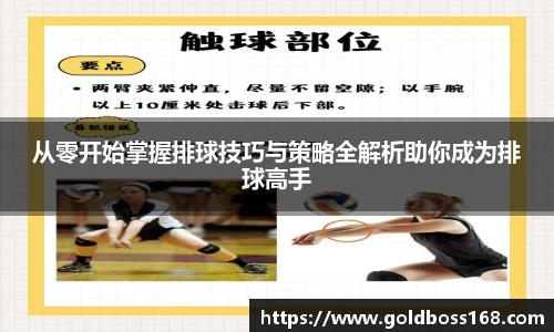3377体育官网