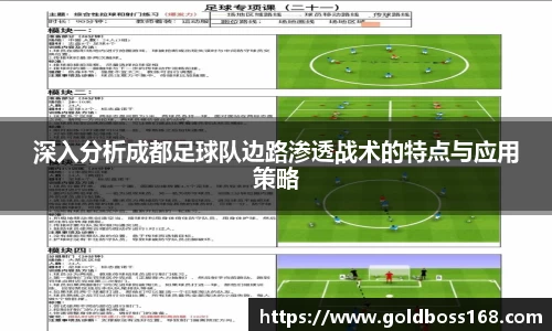 深入分析成都足球队边路渗透战术的特点与应用策略