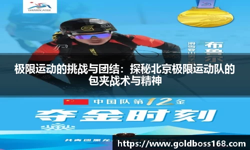 3377体育