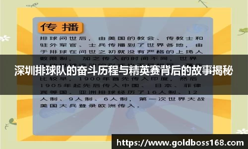 深圳排球队的奋斗历程与精英赛背后的故事揭秘